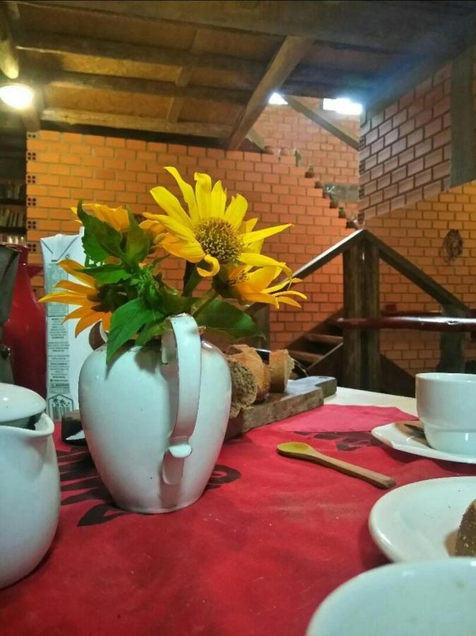 Villa Morena Benessere Florianópolis Екстериор снимка
