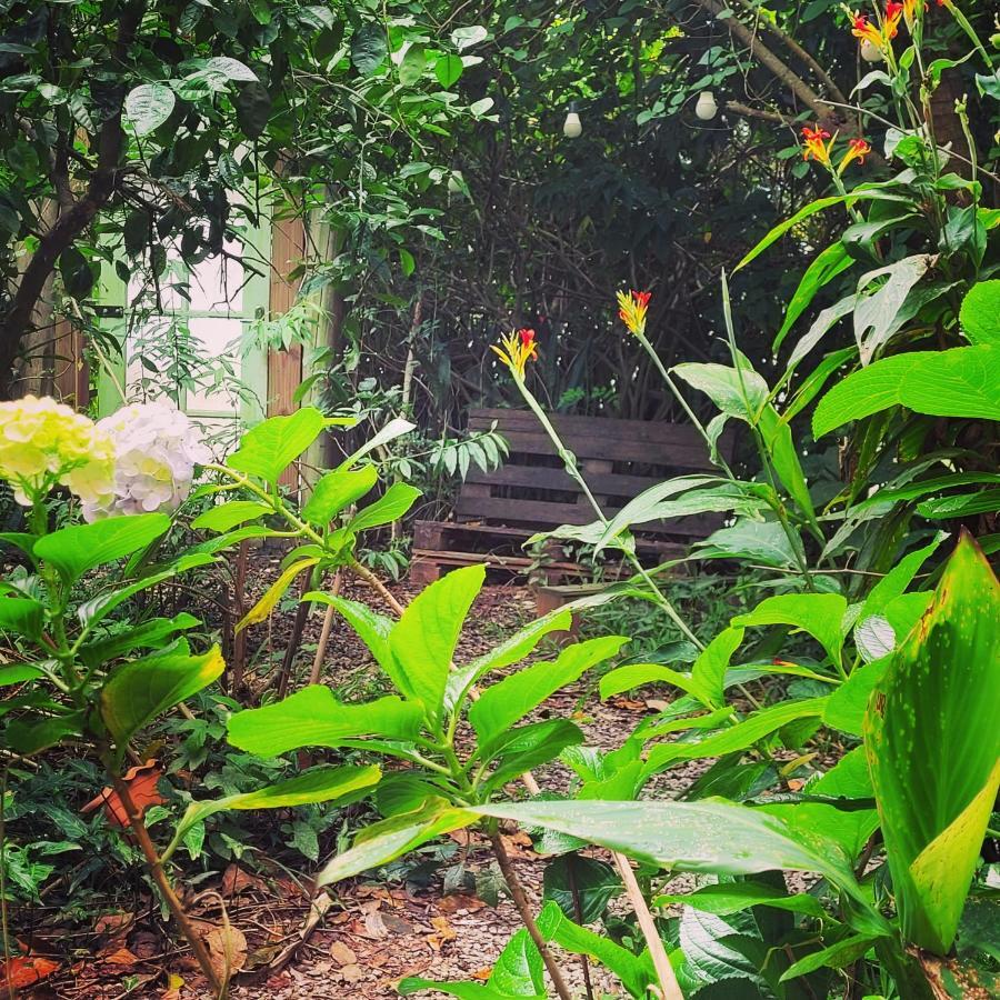 Villa Morena Benessere Florianópolis Екстериор снимка