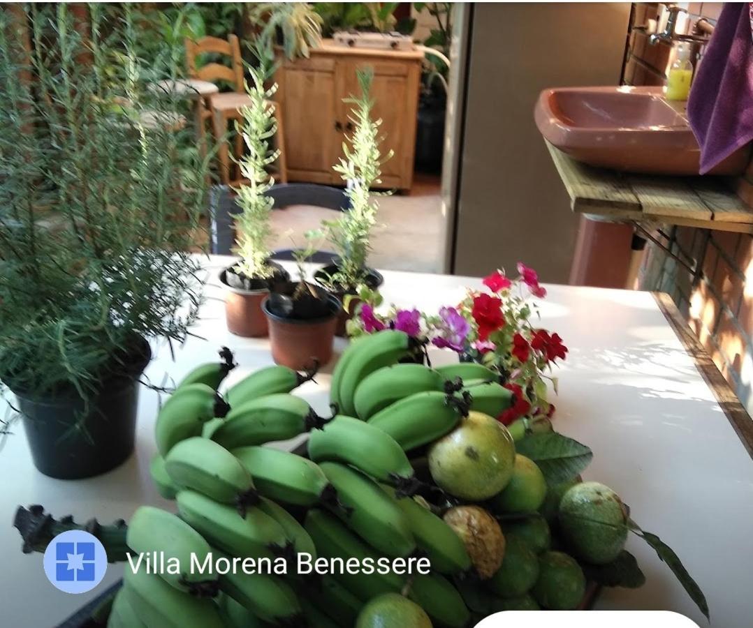 Villa Morena Benessere Florianópolis Екстериор снимка