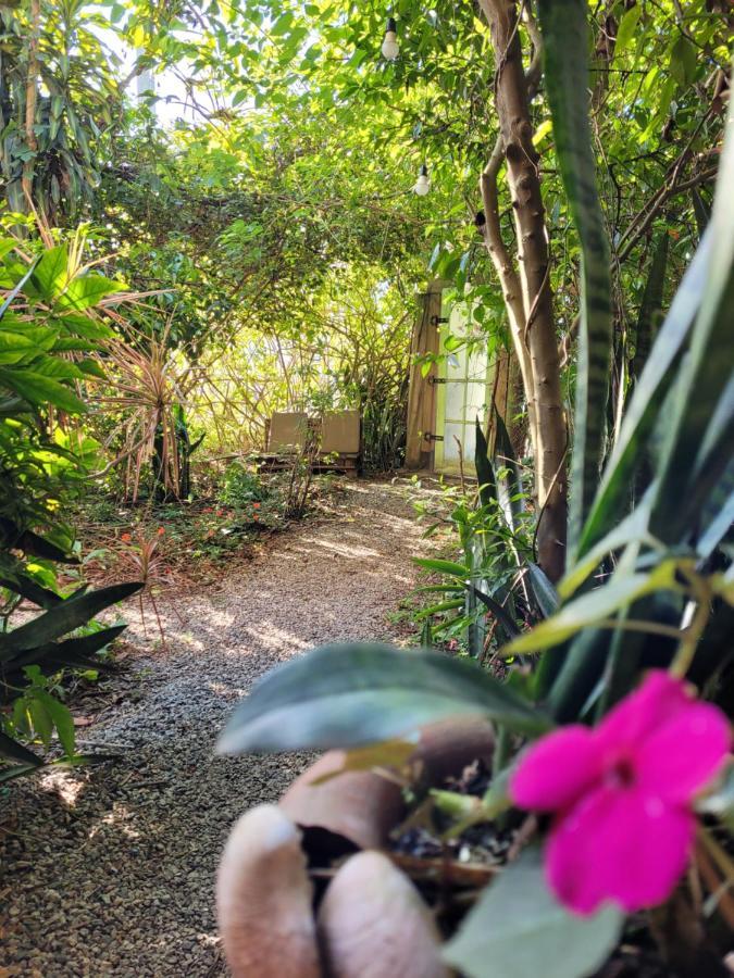 Villa Morena Benessere Florianópolis Екстериор снимка